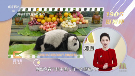 在线日韩观看
